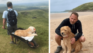 The touching tale of a man going on a last journey with his best friend.